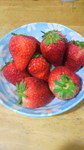 2012030412280000.jpg